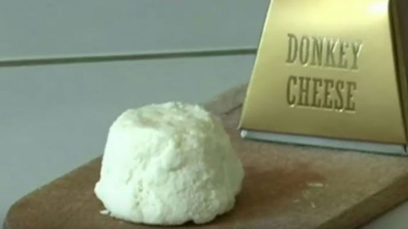 ピューレチーズ　世界一値段の高いチーズ2